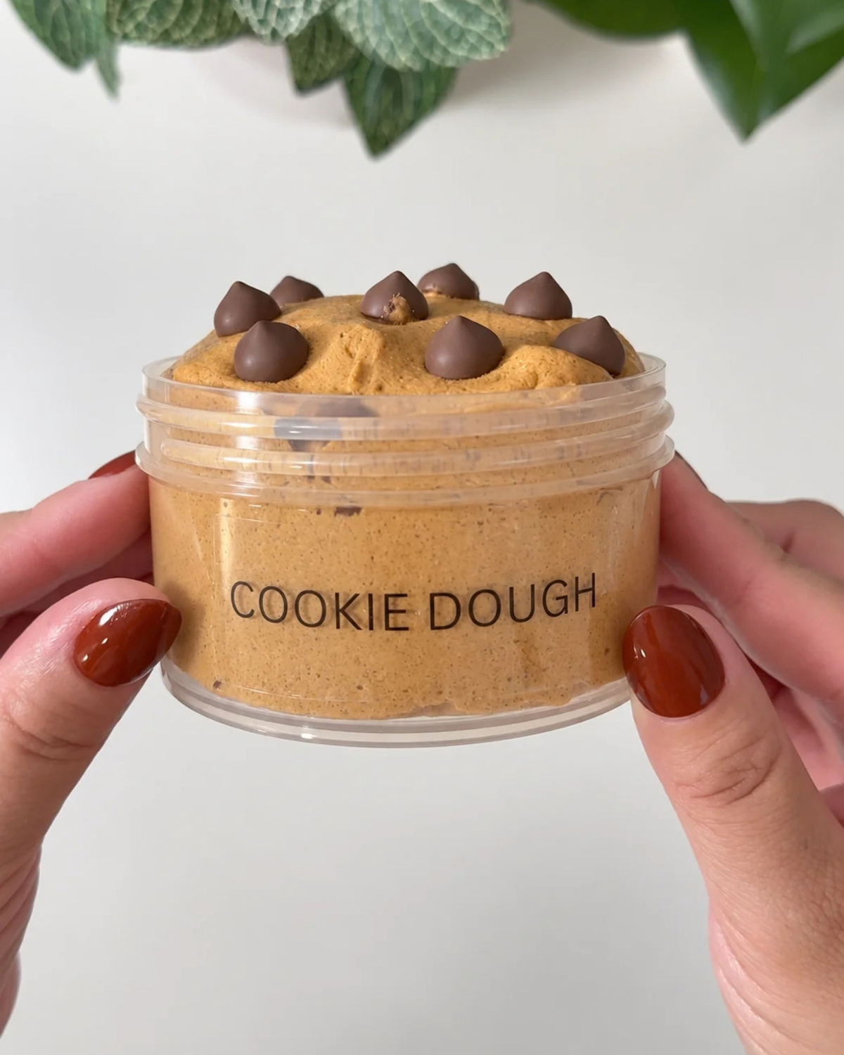 Chocolate Chip Cookie Dough